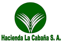 la cabaña
